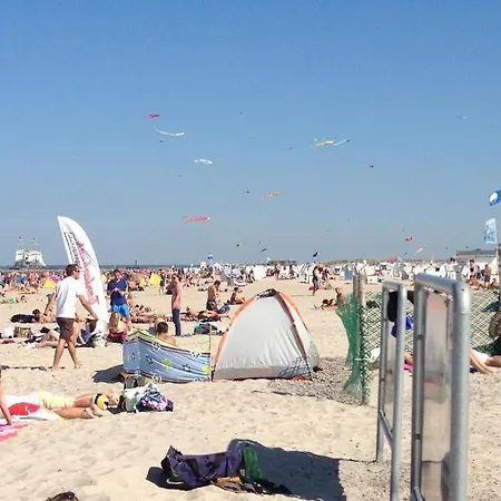 Seepferdchen Warnemuende Rostock Extérieur photo