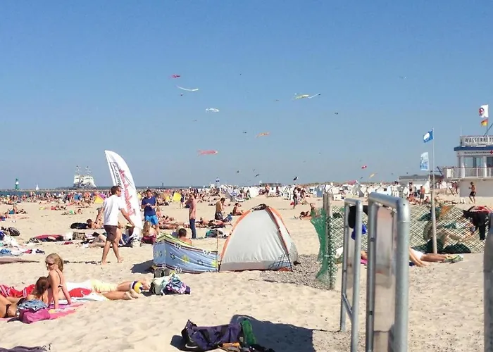 Seepferdchen Warnemuende